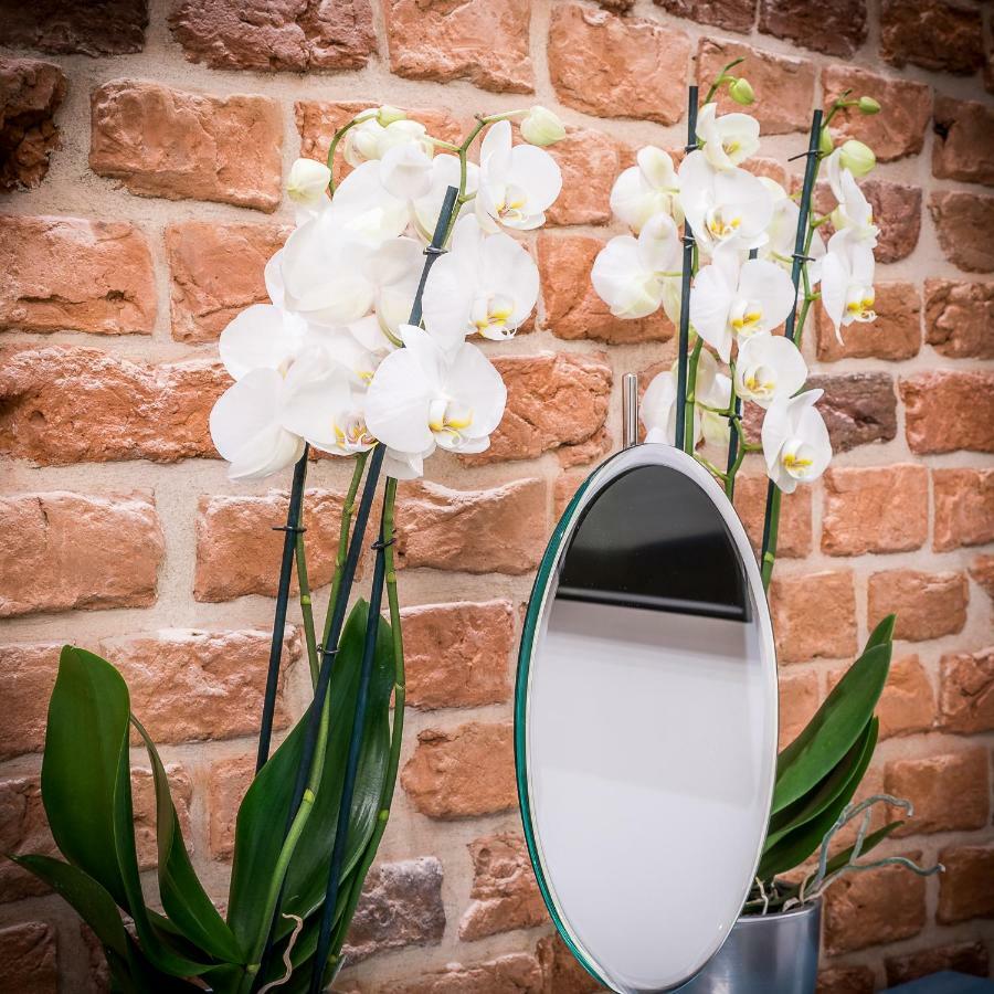 Apartamenty "Artaparts" Stare Miasto - Centrum Stary Toruń 외부 사진